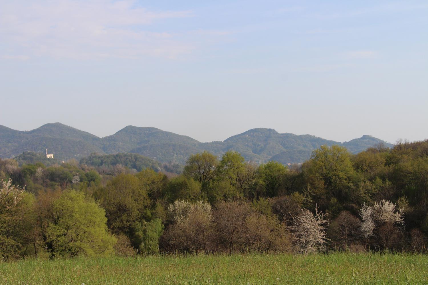 Agriturismo Riva Beata Cavaso Del Tomba Екстериор снимка