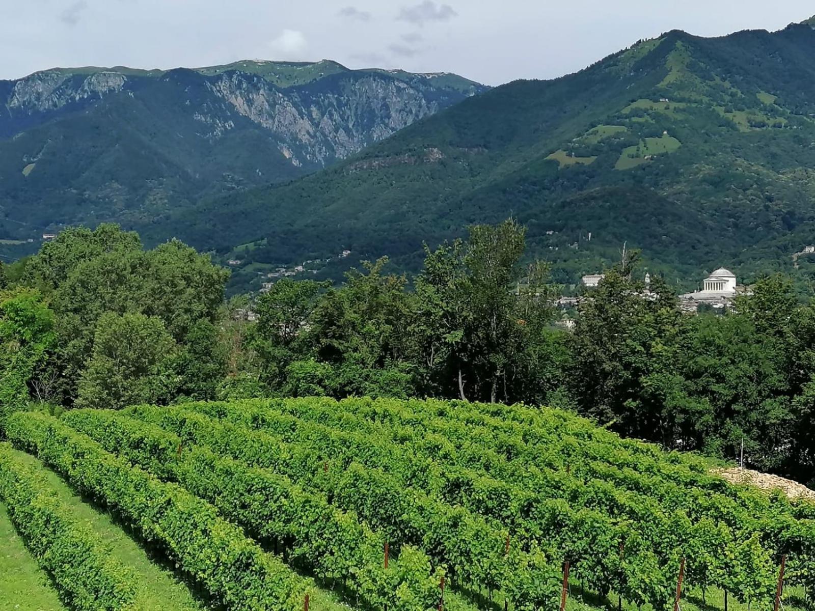 Agriturismo Riva Beata Cavaso Del Tomba Екстериор снимка
